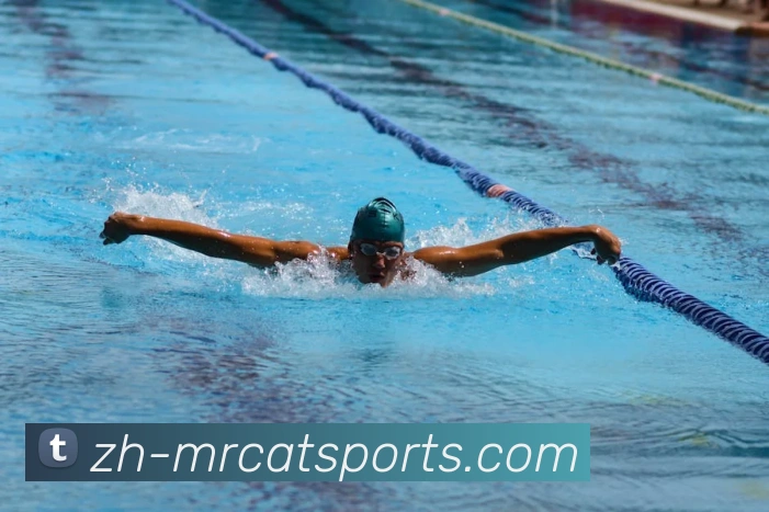 球赛投注服务体系